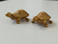 Gold Brass Turtle Figurines (Set of 2)